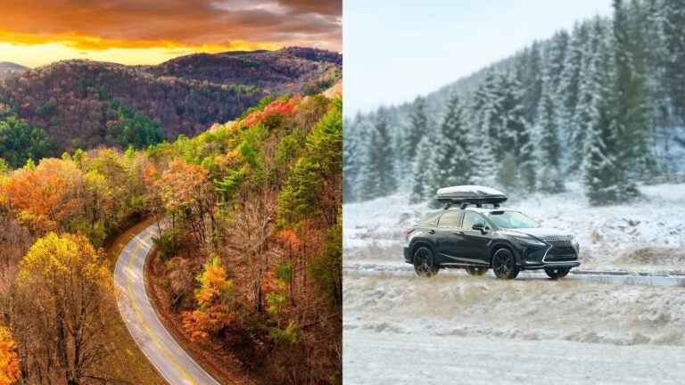 A side-by-side view pairing a golden autumn landscape with a snow-covered winter scene.