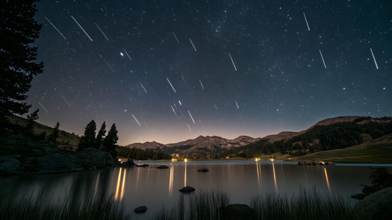 Perseid meteor shower with multiple shooting stars streaking across the Milky Way over a dark summer landscape