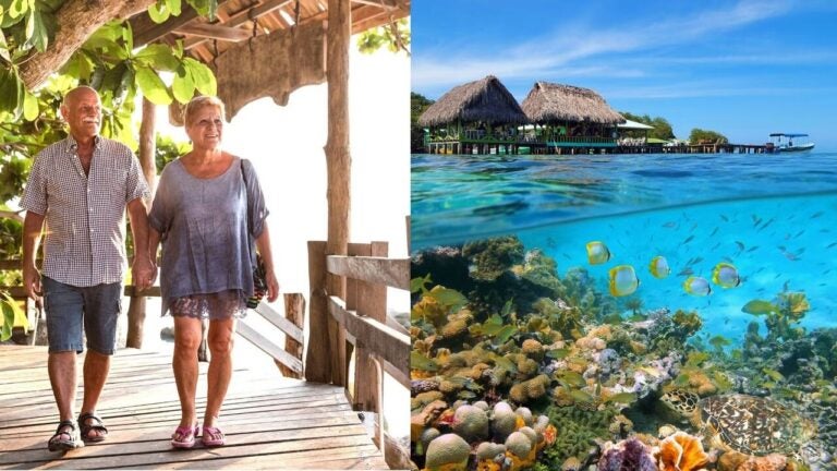 An older couple walking beside a tropical coral reef filled with fish and a sea turtle.