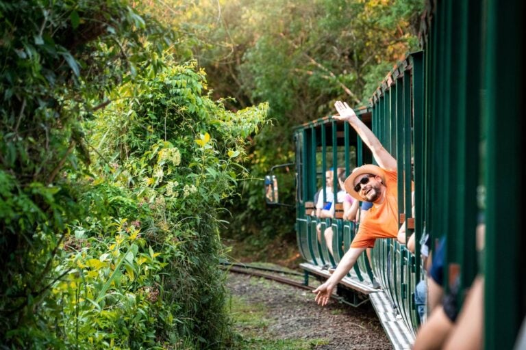 people traveling in a train in the brazilian amazon