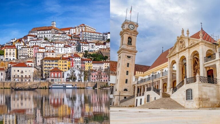 collage of the city of Coimbra and the University of Coimbra