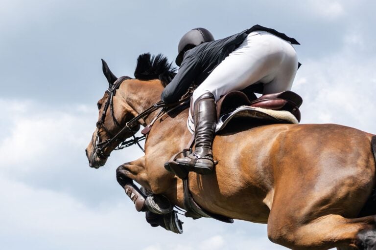 Rider and bay horse in mid-air over a jump.