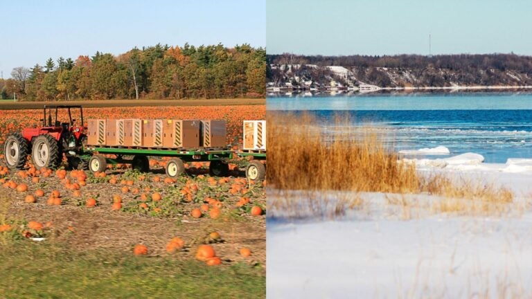 collage of pumkin patch and Frozen snowy winter beach shore of Lake Erie, Norfolk County, Ontario, Canada.