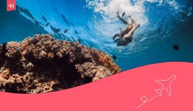 Snorkeler swimming above a colorful coral reef surrounded by tropical fish in clear blue water.