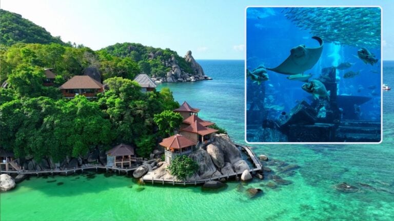 A tropical coastal resort surrounded by lush greenery and rocky hills, with clear turquoise water in the foreground and an inset underwater scene showing a manta ray and schools of fish.