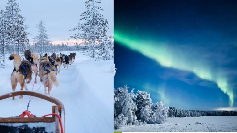 Husky sled team crossing a snowy forest beside northern lights over Finnish Lapland