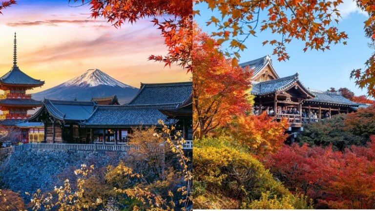 Mount Fuji and traditional Japanese temples surrounded by red and orange autumn leaves