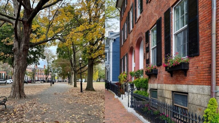Tree-lined Salem street in autumn with historic brick homes, sidewalks, and colorful window boxes.