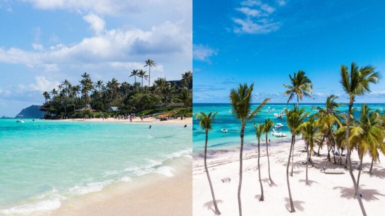 Best places for snorkeling in Hawaii for beginners, featuring tropical beaches with calm, clear turquoise waters, white sand, and palm trees.