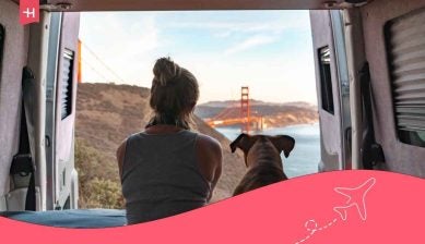 A woman and her dog looking out of a campervan at the Golden Gate Bridge from one of the best camping spots in California.