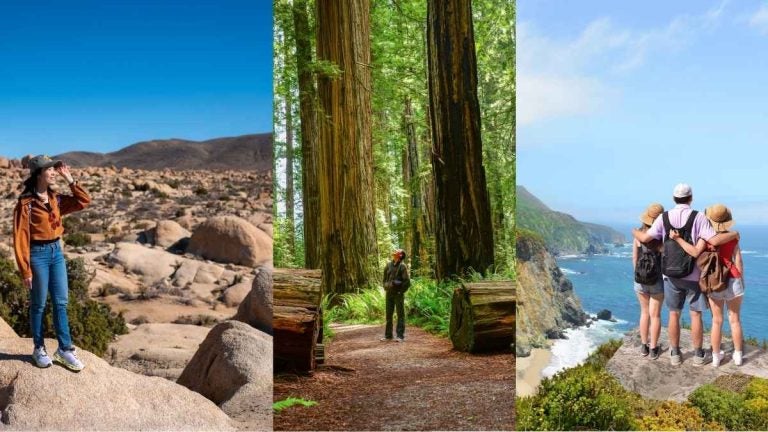 Joshua Tree, Redwoods, and Big Sur at the best camping spots in California.