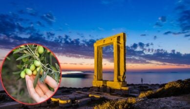The illuminated marble Portara gateway on Naxos at dusk, overlooking a calm sea under a deep blue sky, with a circular inset of a hand holding fresh green olives on the branch