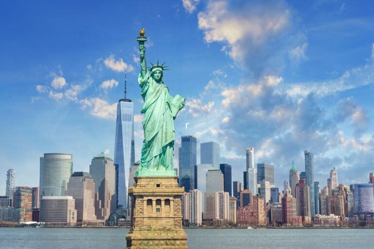 Panorama view of New York city with statue of liberty.