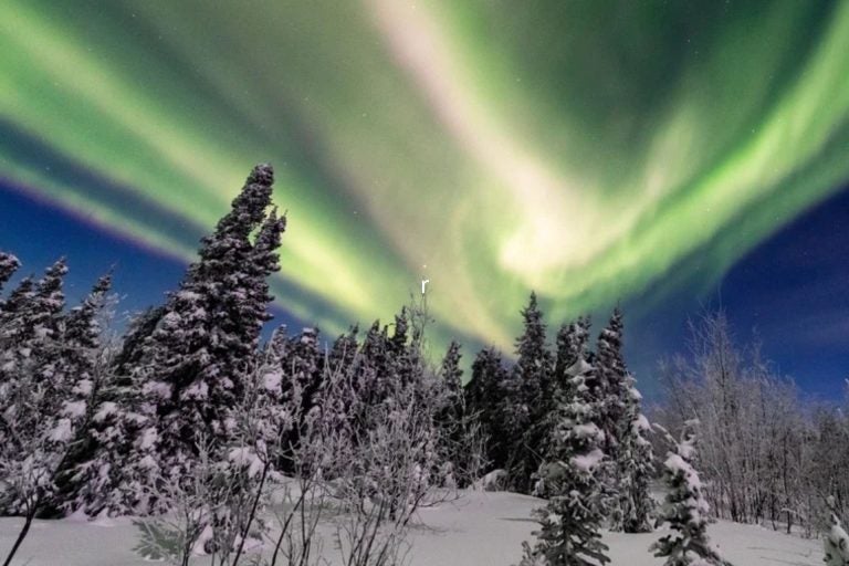 The scenery of beautiful aurora borealis in Fairbanks.