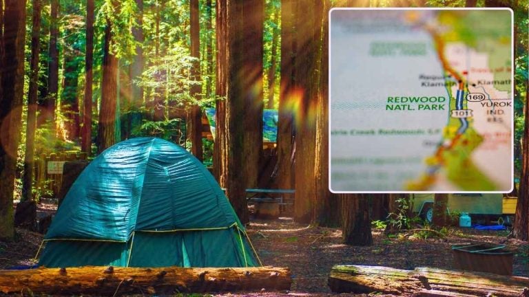 A tent pitched under giant trees at the best camping spots in California.