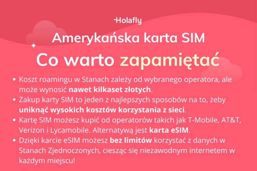 Infografika z podsumowaniem artykułu o amerykańskiej karcie SIM