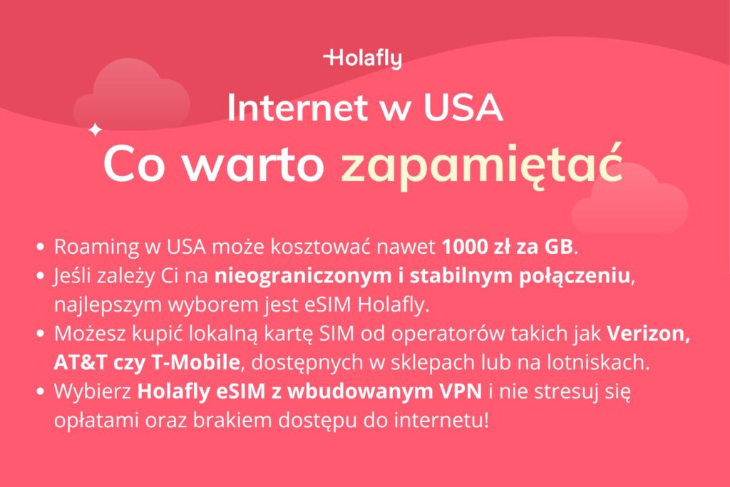 Infografika z podsumowaniem artykułu o internecie w USA