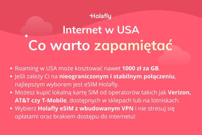 Infografika z podsumowaniem artykułu o internecie w USA