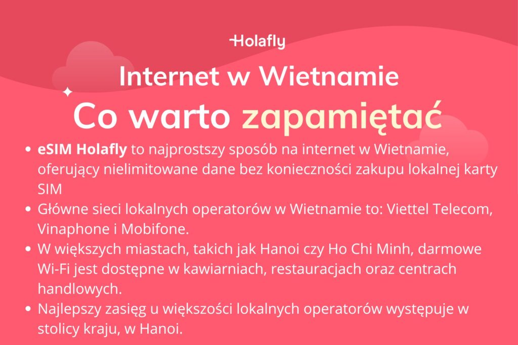 Infografika z podsumowaniem artykułu na temat internetu w Wietnamie