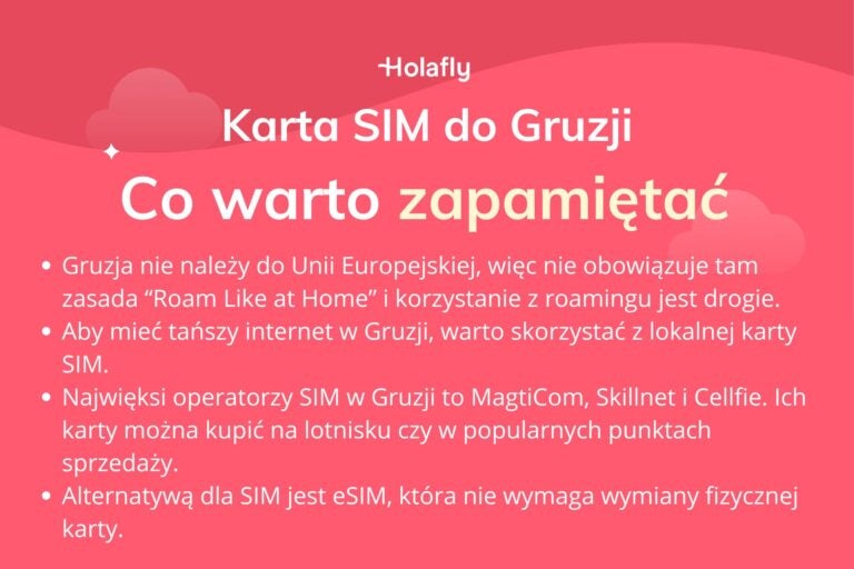 Infografika z podsumowaniem artykułu na temat: karta SIM Gruzja