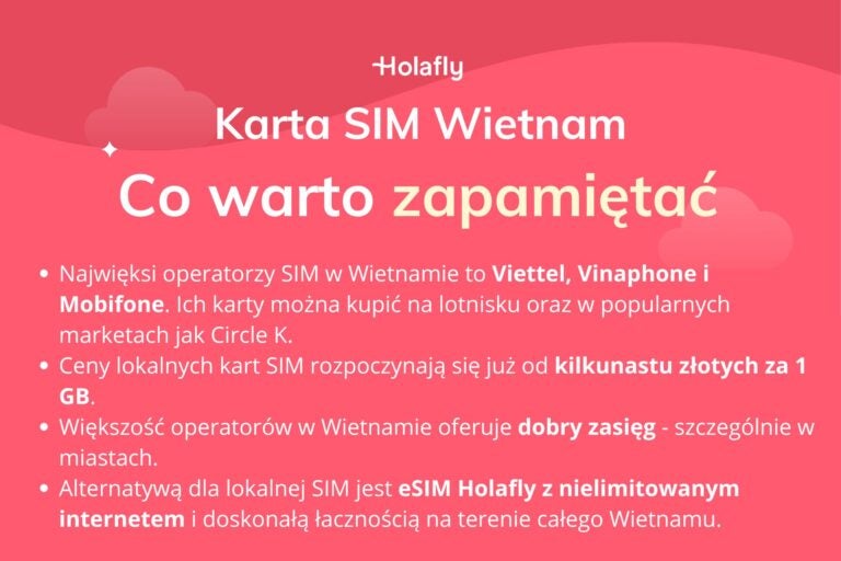 Infografika z podsumowaniem artykułu na temat: Karta SIM Wietnam.
