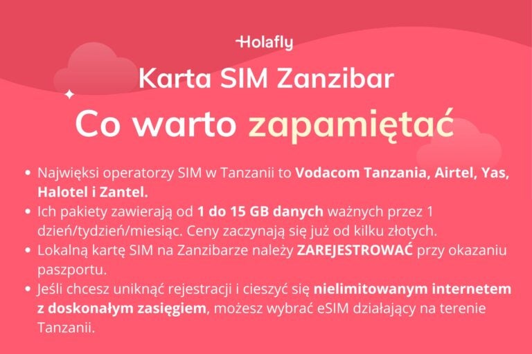 Infografika z podsumowaniem artykułu na temat karta SIM Zanzibar