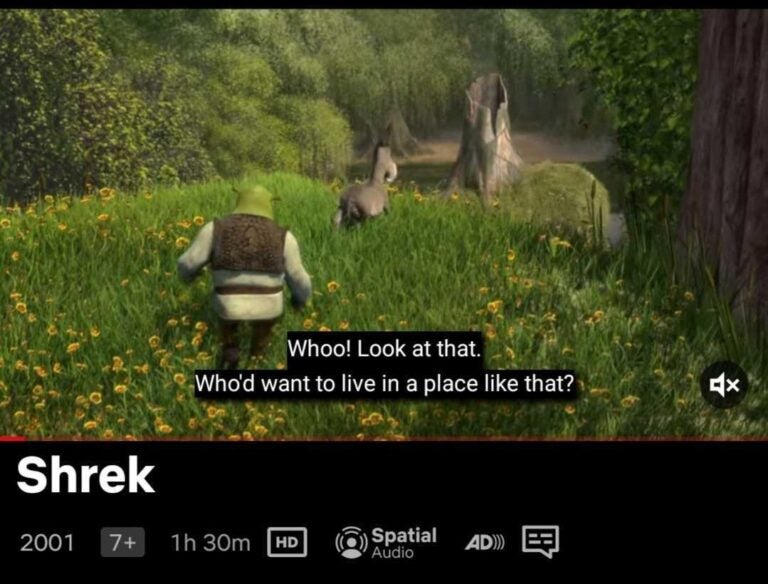 Ile internetu zużywa Netflix - Shrek