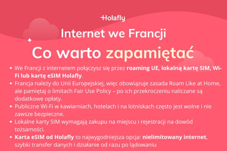 Infografika z podsumowaniem artykułu na temat Internet we Francji.