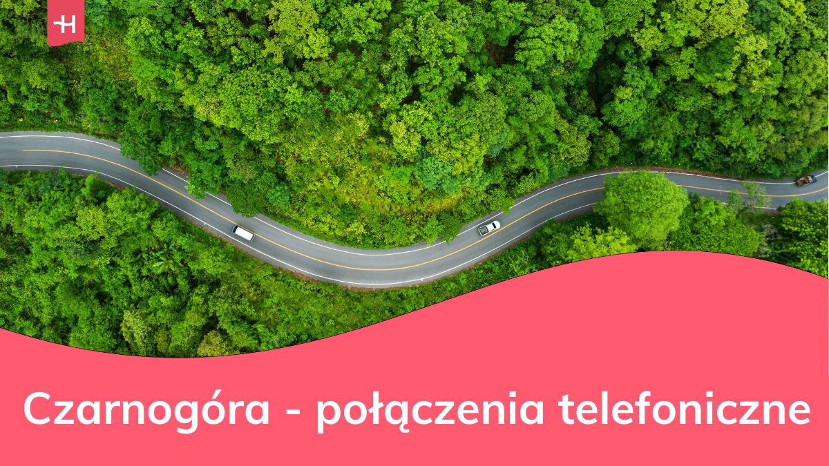 Droga pośród drzew sugerująca podróż do Czarnogóry