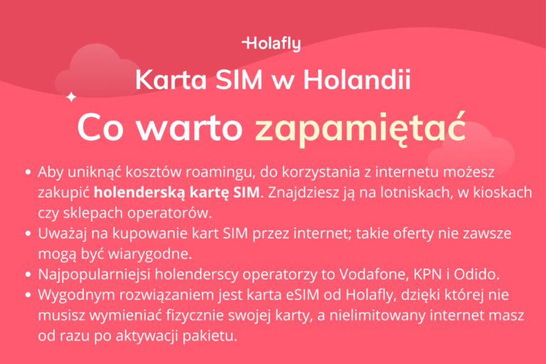 Infografika podsumowująca artykuł o karcie SIM w Holandii