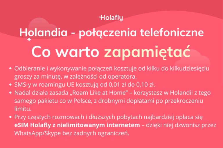 Infografika podsumowująca artykuł o połączeniach telefonicznych do Holandii
