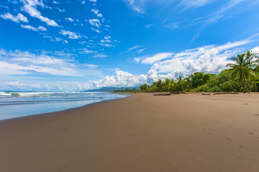 Plaża, palmy i morze - wybrzeże Kostaryki.