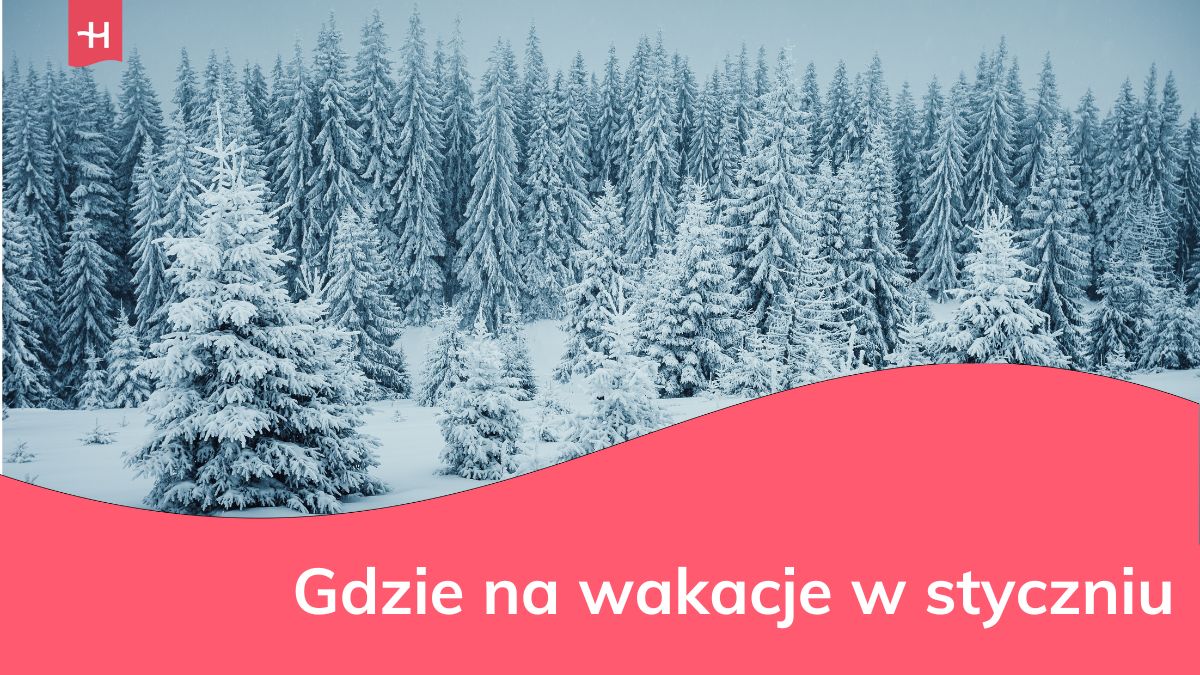 Gdzie pojechać na wakacje podczas mroźnego stycznia?