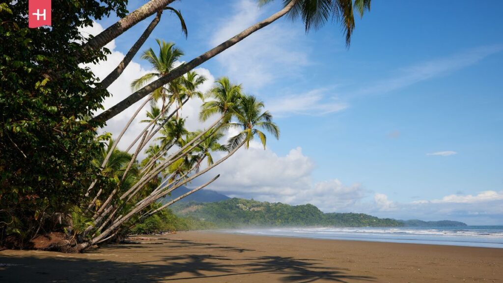 Park Narodowy Uvita na Kostaryce