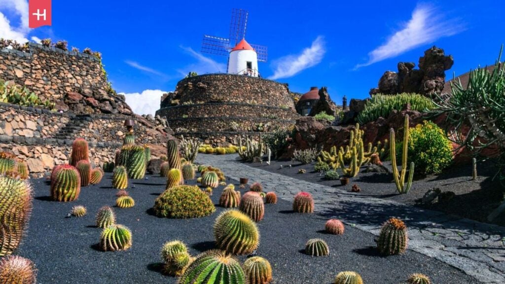 Krajobrazy Lanzarote są wulkaniczne i pełne dzikich kaktusów oraz bujnej roślinności.