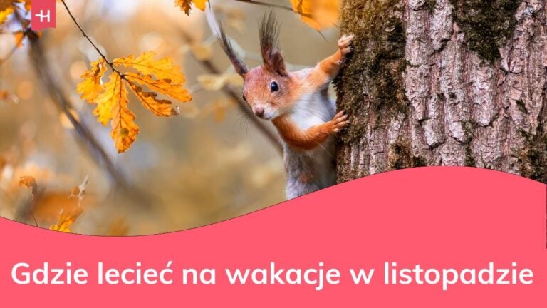 Gdzie na wakacje w listopadzie