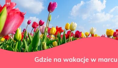 Gdzie jechać na wakacje w marcu