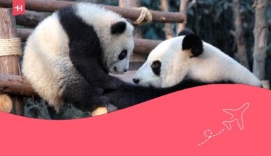 Kiedy najlepiej jechać do Chin?