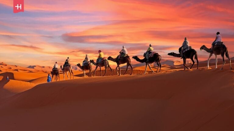 Wielbłądy wędrujące po pustyni.