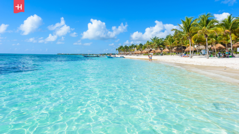 Krystalicznie przejrzysta woda, jasny piasek, las palm.