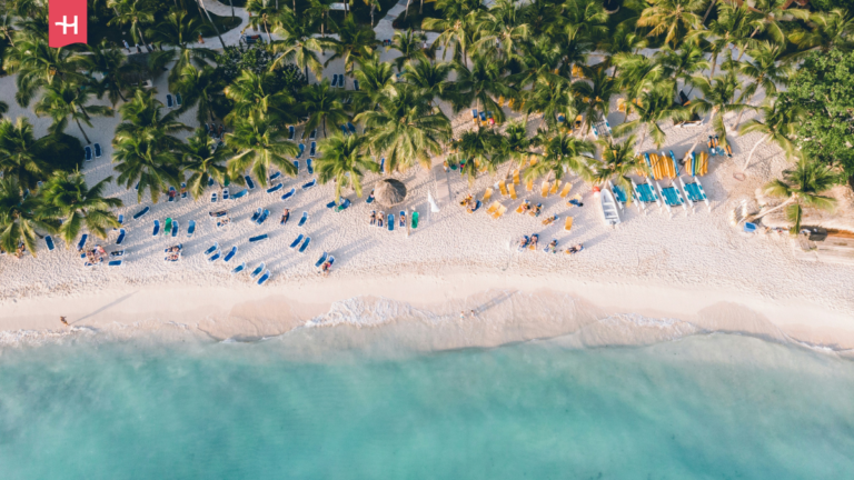 Widok z lotu ptaka na plażę z palmami.