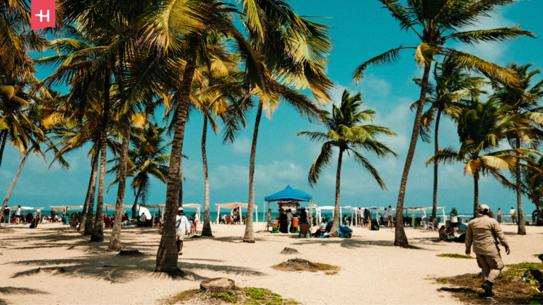 Egzotyczna plaża z palmami i wiatami.
