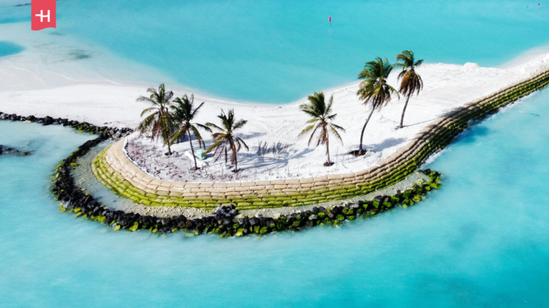 Sześć palm na mieliźnie.