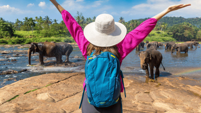 Obserwowanie słoni w rzece.