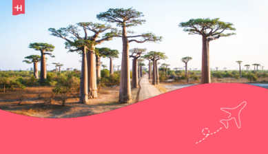 Kiedy lecieć na Madagaskar