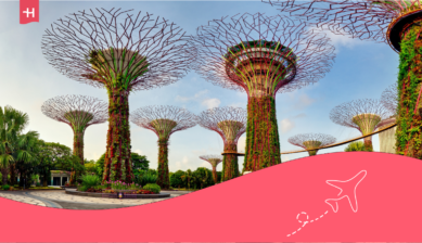 Kiedy lecieć do Singapuru?