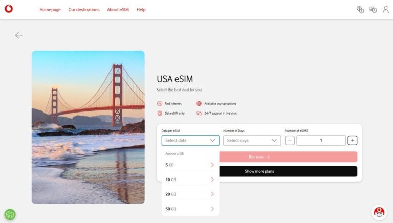 Vodafone Travel eSIM dla USA