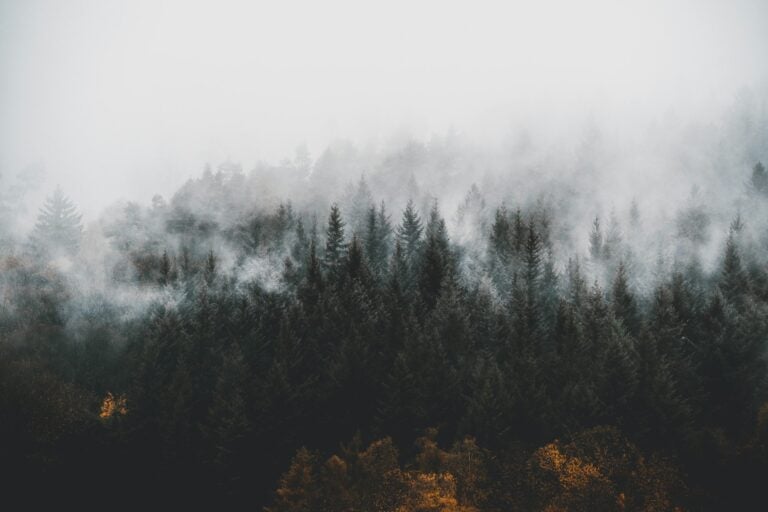 Schwarzwald, Niemcy