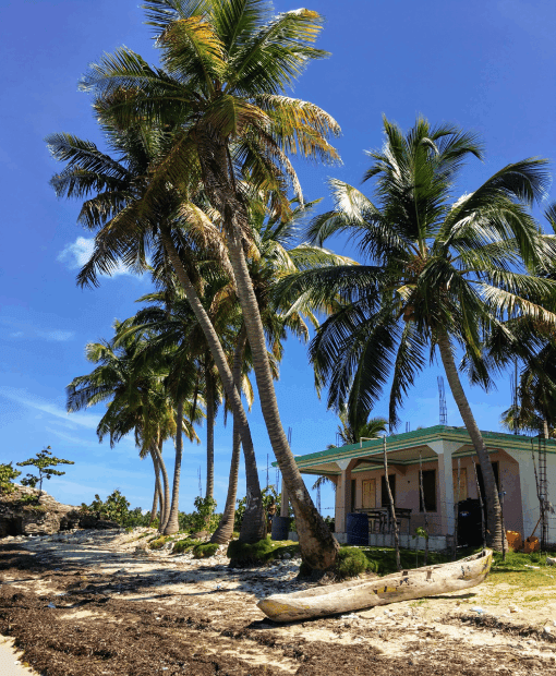 esim-haiti