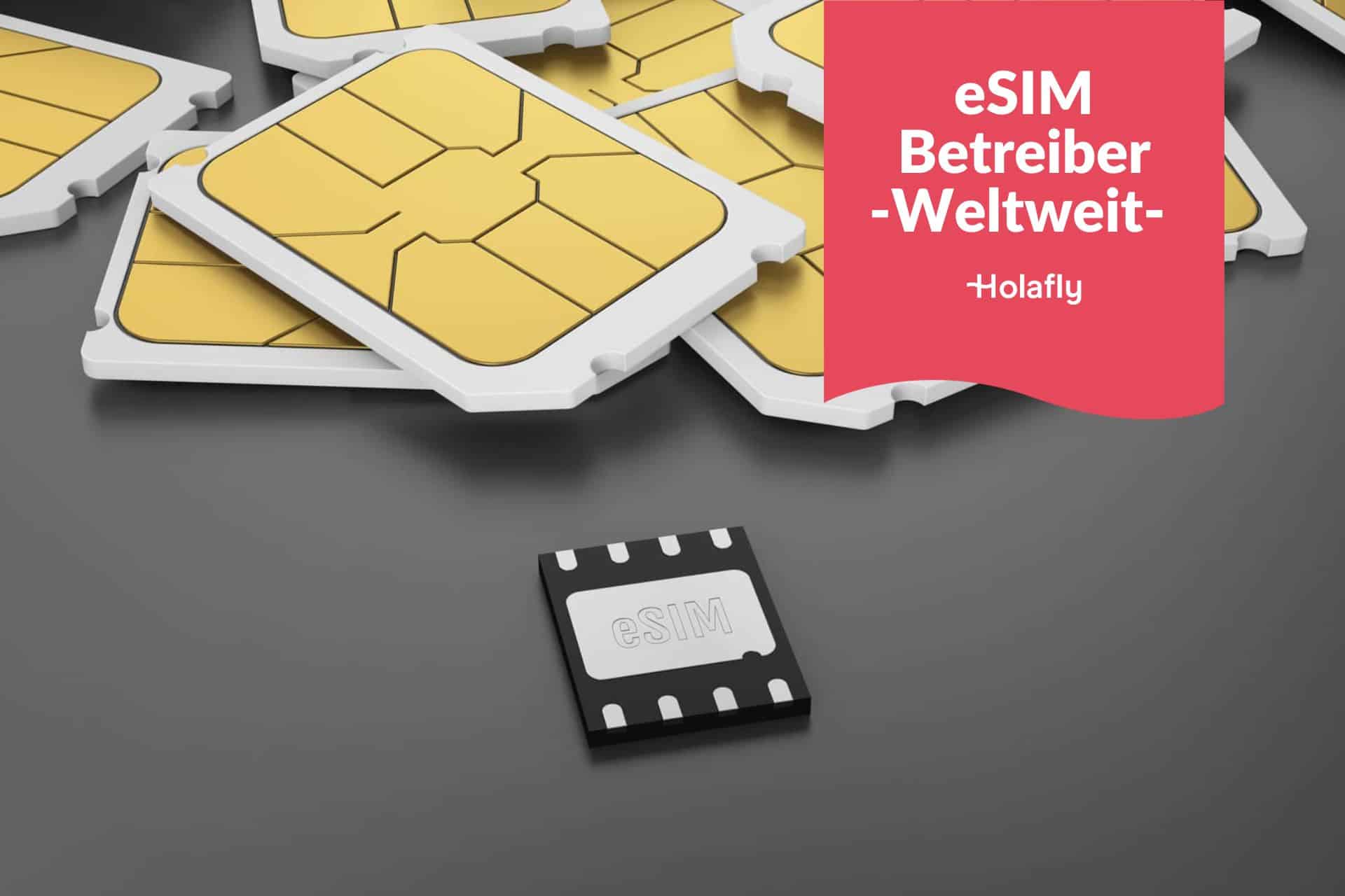 esim weltweit betreiber holafly